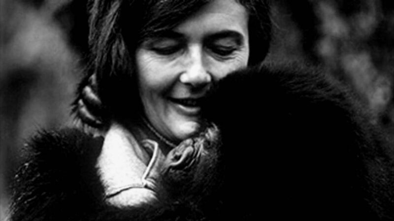 Dian Fossey Iconic Women